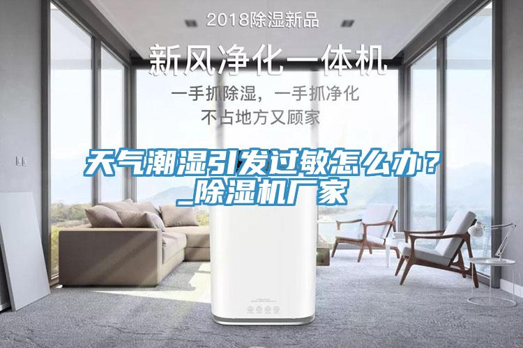 天氣潮濕引發(fā)過敏怎么辦？_除濕機廠家