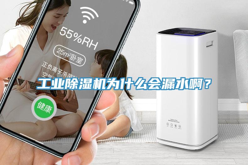 工業(yè)除濕機(jī)為什么會(huì)漏水??？