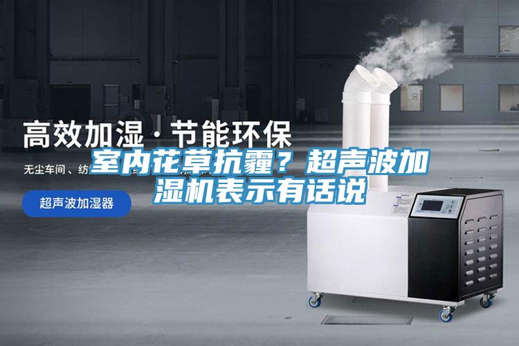 室內(nèi)花草抗霾？超聲波加濕機(jī)表示有話說