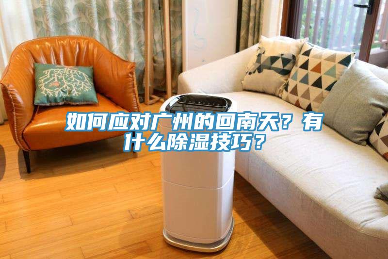 如何應(yīng)對(duì)廣州的回南天？有什么除濕技巧？