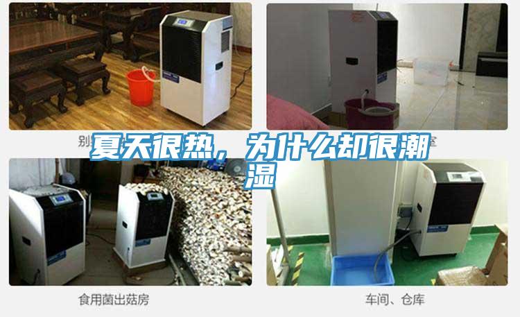 夏天很熱，為什么卻很潮濕