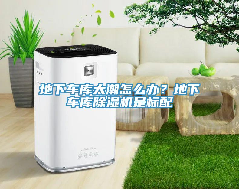 地下車庫太潮怎么辦？地下車庫除濕機(jī)是標(biāo)配