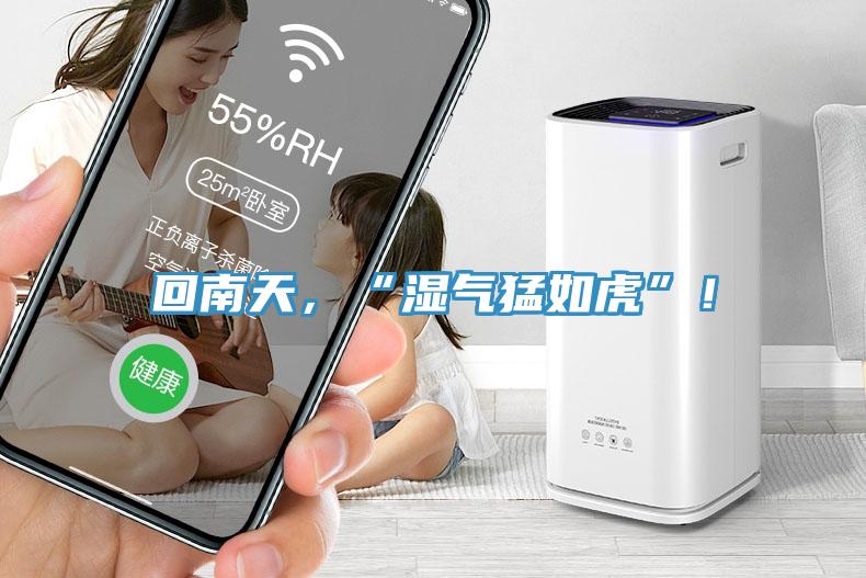 回南天，“濕氣猛如虎”！