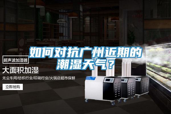 如何對(duì)抗廣州近期的潮濕天氣？