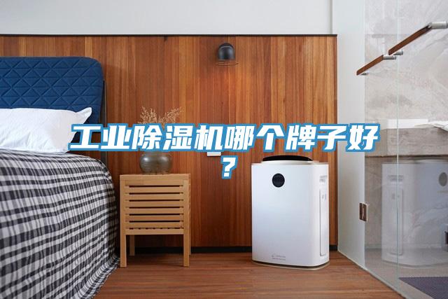工業(yè)除濕機(jī)哪個(gè)牌子好？