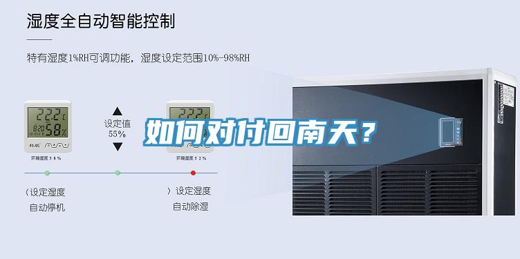如何對付回南天？