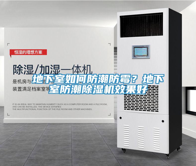 地下室如何防潮防霉？地下室防潮除濕機(jī)效果好