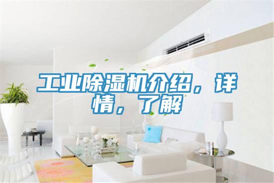 工業(yè)除濕機(jī)介紹，詳情，了解