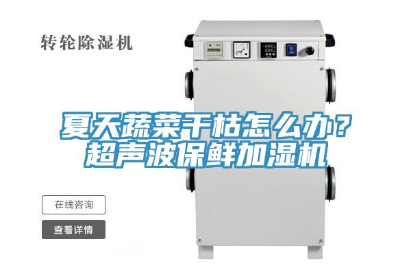 夏天蔬菜干枯怎么辦？超聲波保鮮加濕機(jī)