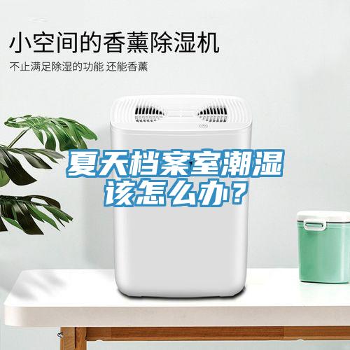 夏天檔案室潮濕該怎么辦？