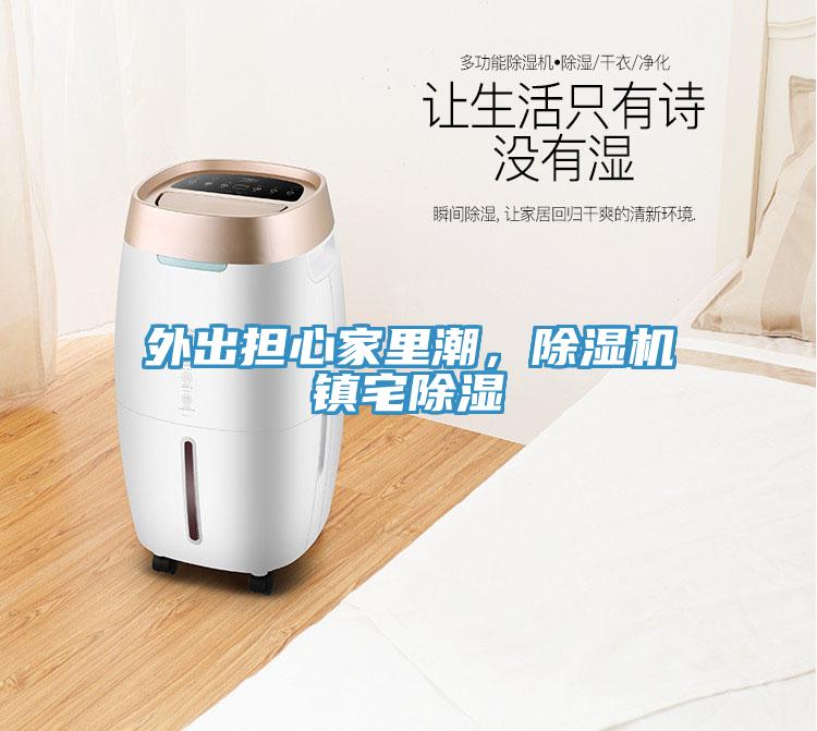 外出擔(dān)心家里潮，除濕機(jī)鎮(zhèn)宅除濕