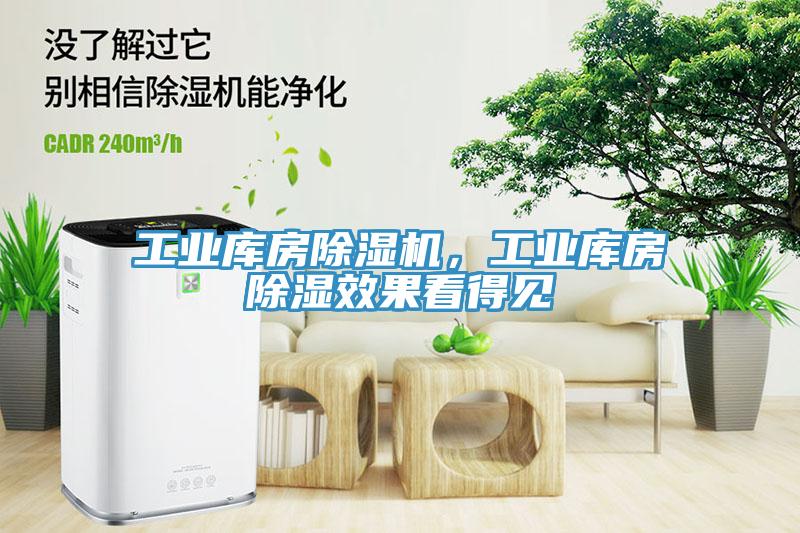 工業(yè)庫(kù)房除濕機(jī)，工業(yè)庫(kù)房除濕效果看得見(jiàn)