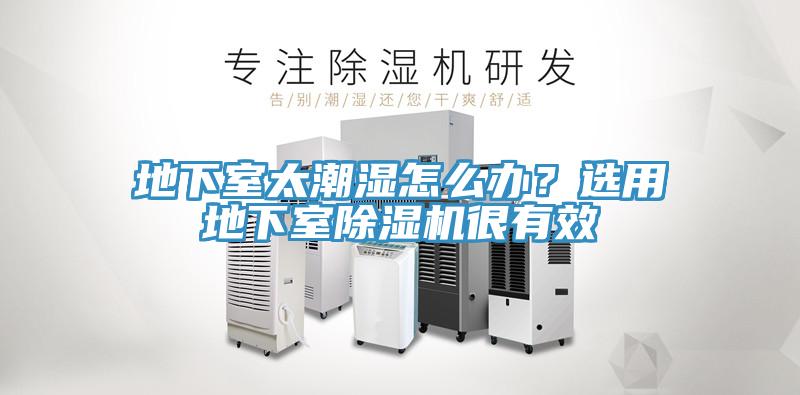 地下室太潮濕怎么辦？選用地下室除濕機(jī)很有效