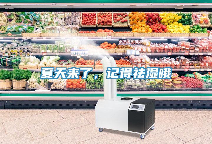 夏天來了，記得祛濕哦