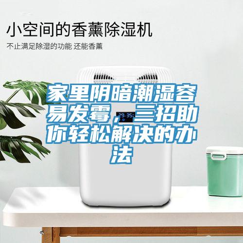 家里陰暗潮濕容易發(fā)霉，三招助你輕松解決的辦法