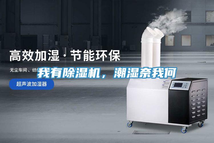 我有除濕機(jī)，潮濕奈我何