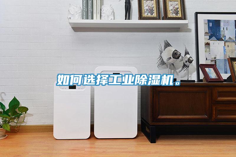 如何選擇工業(yè)除濕機(jī)。