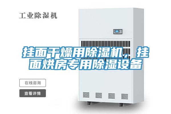 掛面干燥用除濕機(jī)，掛面烘房專用除濕設(shè)備