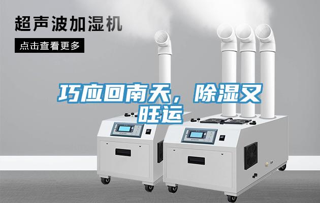 巧應(yīng)回南天，除濕又旺運(yùn)