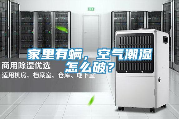家里有螨，空氣潮濕怎么破？
