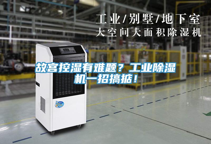 故宮控濕有難題？工業(yè)除濕機(jī)一招搞掂！