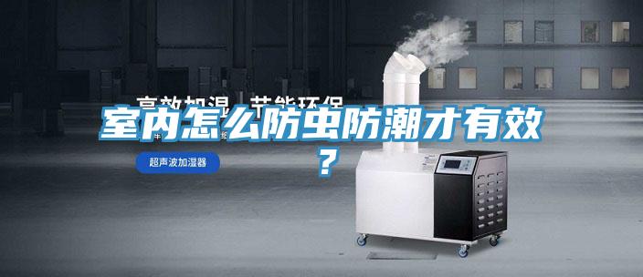 室內怎么防蟲防潮才有效？