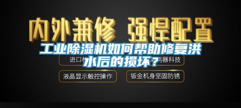 工業(yè)除濕機(jī)如何幫助修復(fù)洪水后的損壞？