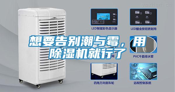 想要告別潮與霉，用除濕機就行了