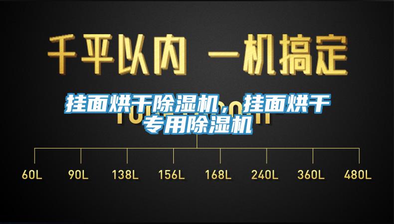 掛面烘干除濕機(jī)，掛面烘干專用除濕機(jī)