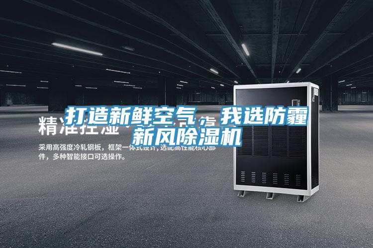 打造新鮮空氣，我選防霾新風(fēng)除濕機(jī)