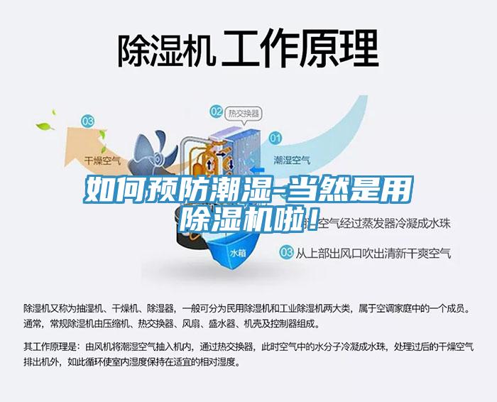 如何預(yù)防潮濕-當(dāng)然是用除濕機(jī)啦！