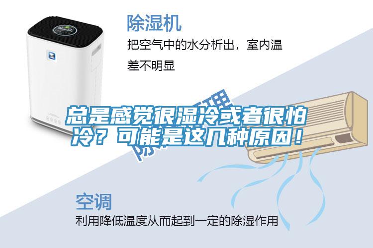 總是感覺(jué)很濕冷或者很怕冷？可能是這幾種原因！