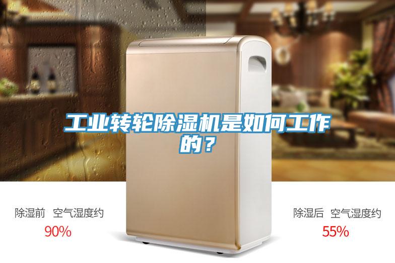 工業(yè)轉(zhuǎn)輪除濕機(jī)是如何工作的？