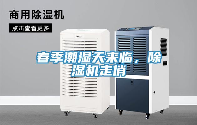 春季潮濕天來(lái)臨，除濕機(jī)走俏