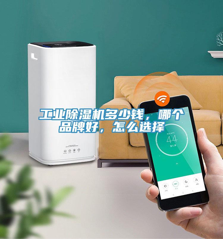 工業(yè)除濕機(jī)多少錢，哪個(gè)品牌好，怎么選擇