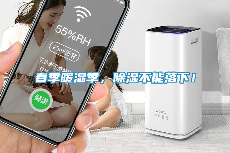 春季暖濕季，除濕不能落下！