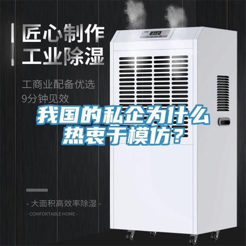 我國(guó)的私企為什么熱衷于模仿？