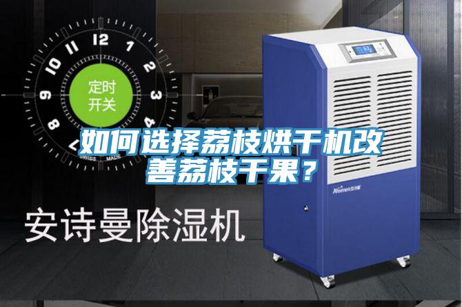 如何選擇荔枝烘干機(jī)改善荔枝干果？