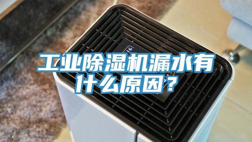 工業(yè)除濕機(jī)漏水有什么原因？