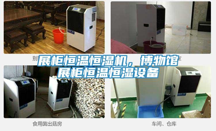 展柜恒溫恒濕機，博物館展柜恒溫恒濕設(shè)備