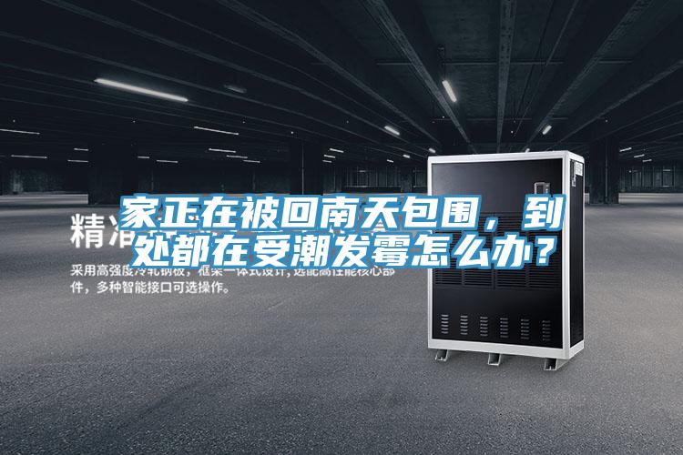 家正在被回南天包圍，到處都在受潮發(fā)霉怎么辦？