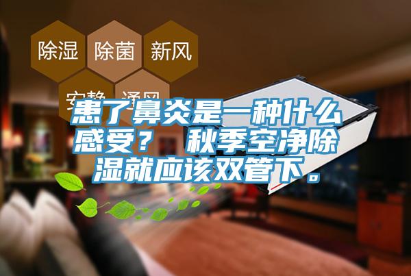 患了鼻炎是一種什么感受？ 秋季空凈除濕就應(yīng)該雙管下。
