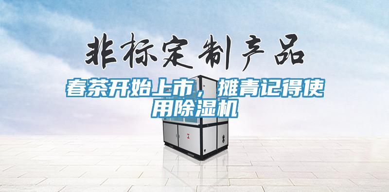 春茶開始上市，攤青記得使用除濕機