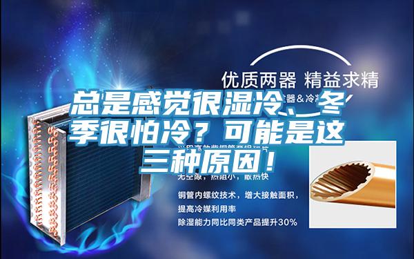 總是感覺(jué)很濕冷、冬季很怕冷？可能是這三種原因！