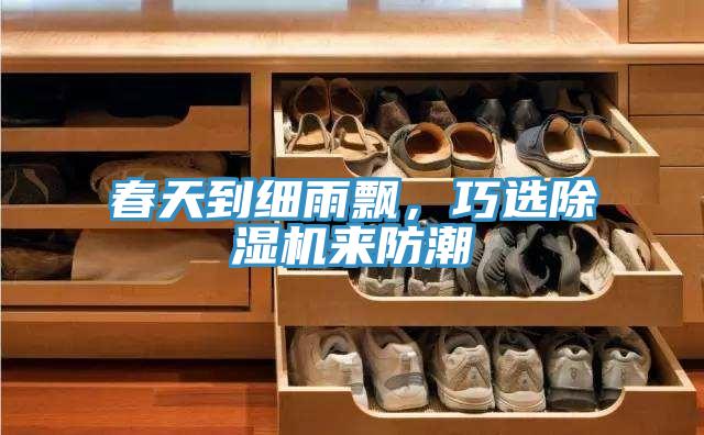 春天到細(xì)雨飄，巧選除濕機(jī)來(lái)防潮