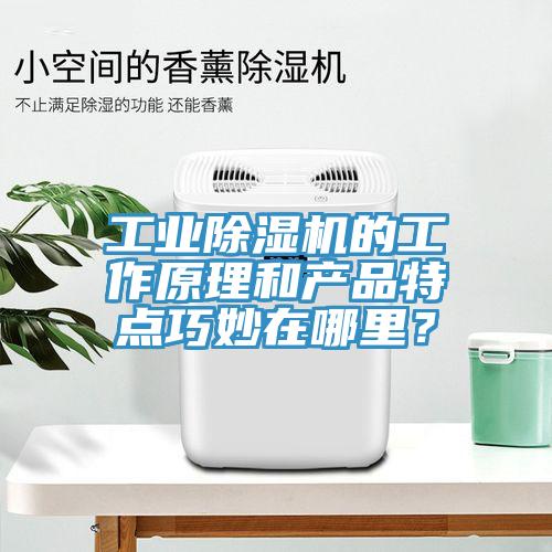 工業(yè)除濕機(jī)的工作原理和產(chǎn)品特點(diǎn)巧妙在哪里？