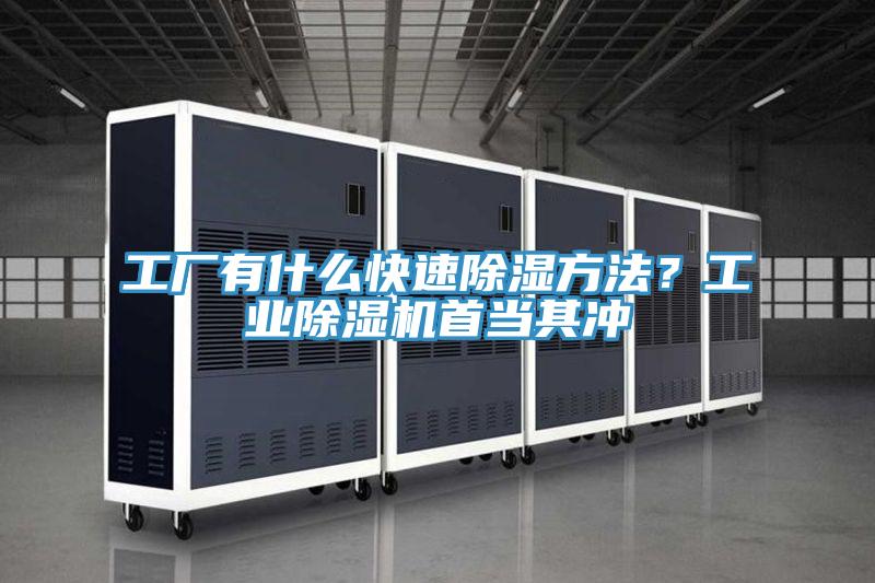 工廠有什么快速除濕方法？工業(yè)除濕機(jī)首當(dāng)其沖
