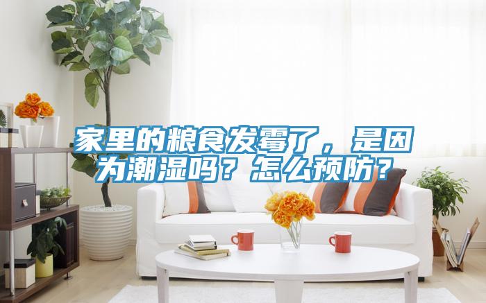 家里的糧食發(fā)霉了，是因?yàn)槌睗駟幔吭趺搭A(yù)防？