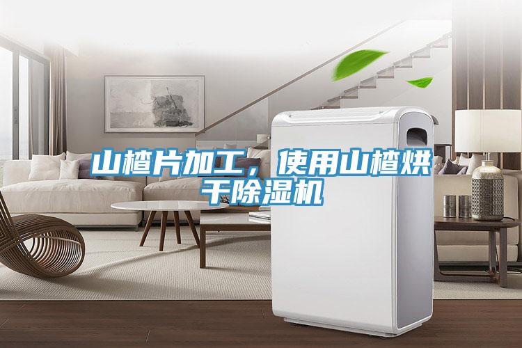 山楂片加工，使用山楂烘干除濕機(jī)