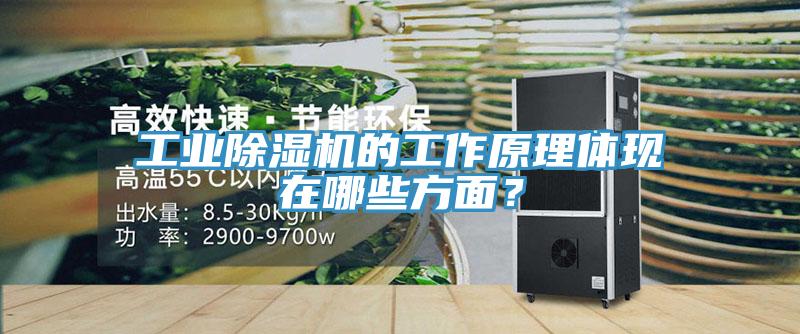 工業(yè)除濕機(jī)的工作原理體現(xiàn)在哪些方面？